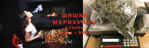 spice Новодвинск
