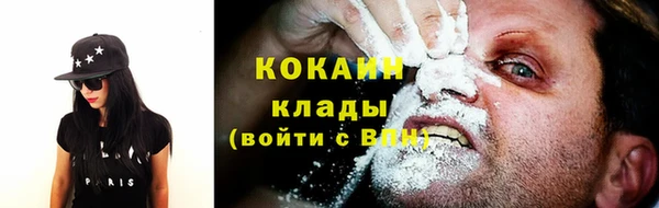 apvp Новозыбков
