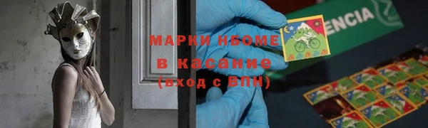 spice Новодвинск