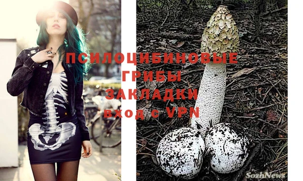 apvp Новозыбков