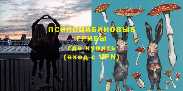 spice Новодвинск
