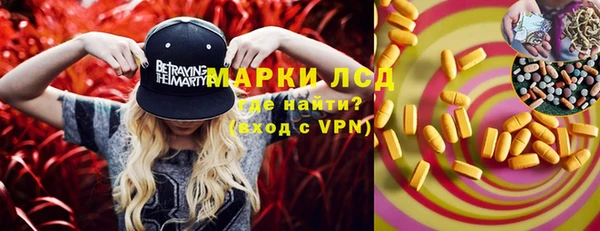 spice Новодвинск