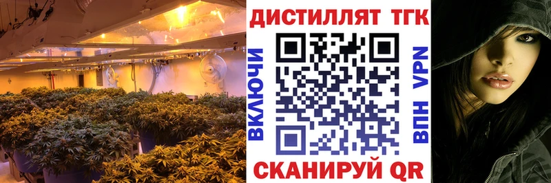 где найти наркотики  Полярный  ТГК жижа 