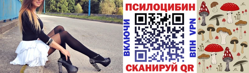 Псилоцибиновые грибы Psilocybe где продают Полярный